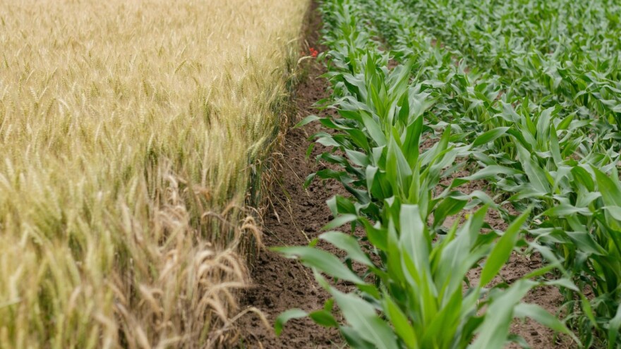 Obavijest korisnicima mjera Programa ruralnog razvoja o produljenju rokova