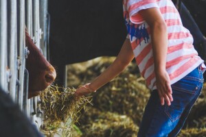 52,5 milijuna kuna za program potpore primarnim poljoprivrednim proizvođačima