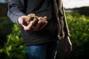 Druga šansa za poljoprivredu: Marketing iz srca u doba globalne pandemije