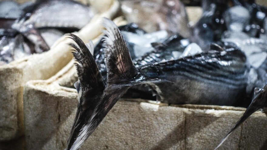 Dopune pravilnika o ribolovu plavoperajne tune