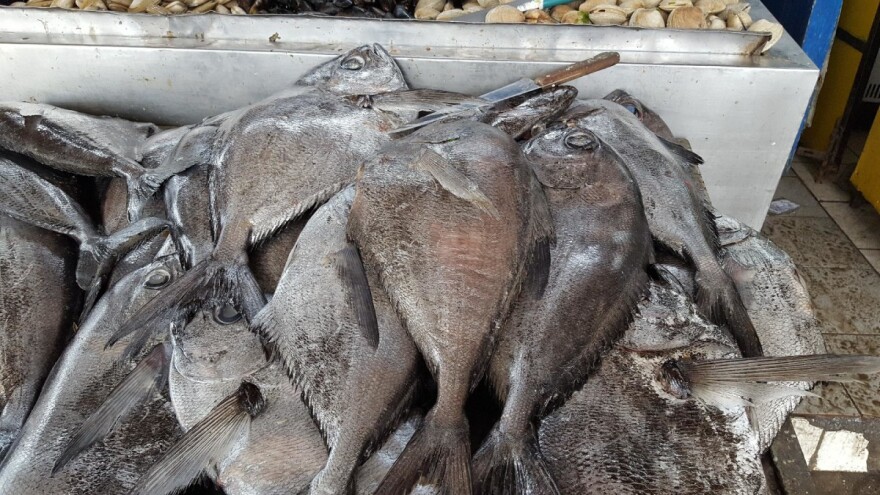 Ribari, mijenja se Pravilnik o sadržaju prodajnog lista i registra prvih kupaca