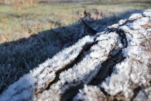 Proglašena prirodna nepogoda u Bjelovarsko-bilogorskoj županiji