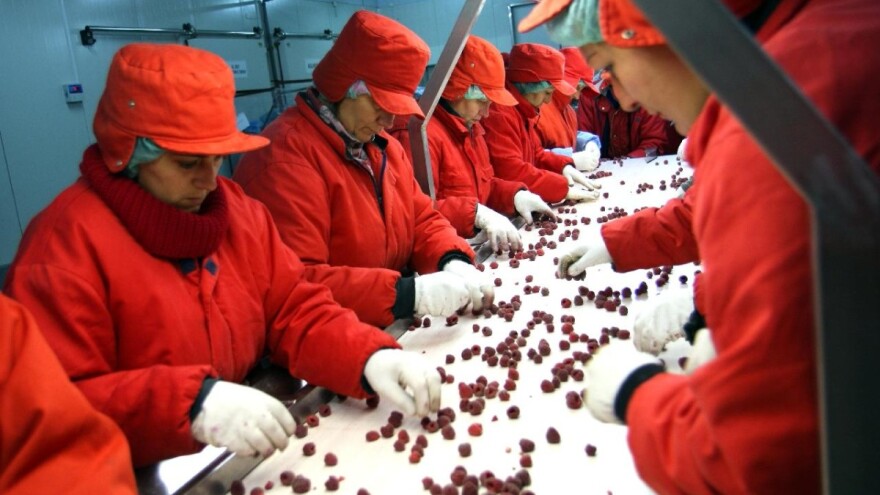 Kako očuvati radna mesta tokom i posle pandemije?