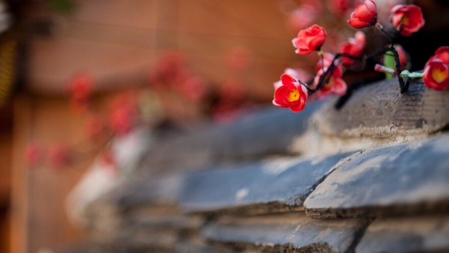 Ministarstvo turizma: Upute za privatne iznajmljivače i OPG-ove za mjere odgode