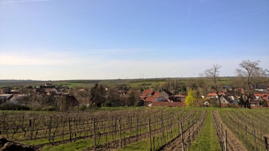 Međimurcima omogućeno nesmetano obilaženje vinograda u Mađarskoj