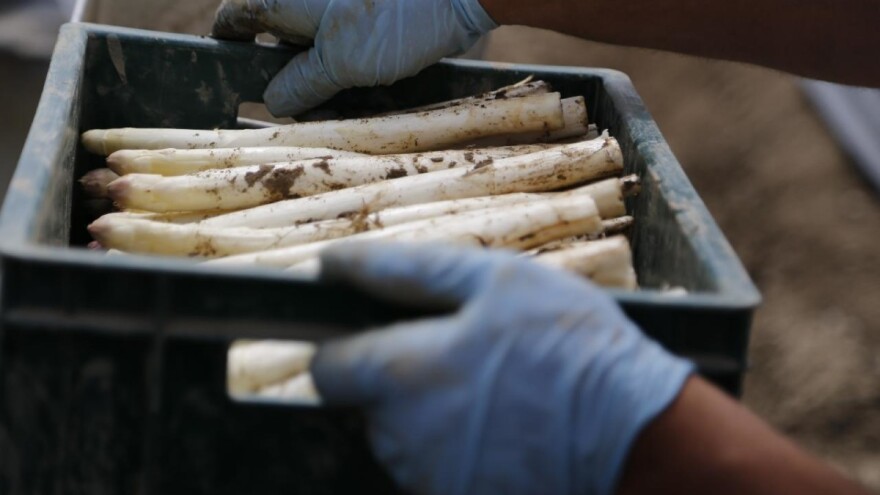 EK: I poljoprivrednici su radnici u kritičnim zanimanjima, osigurajte im slobodno kretanje