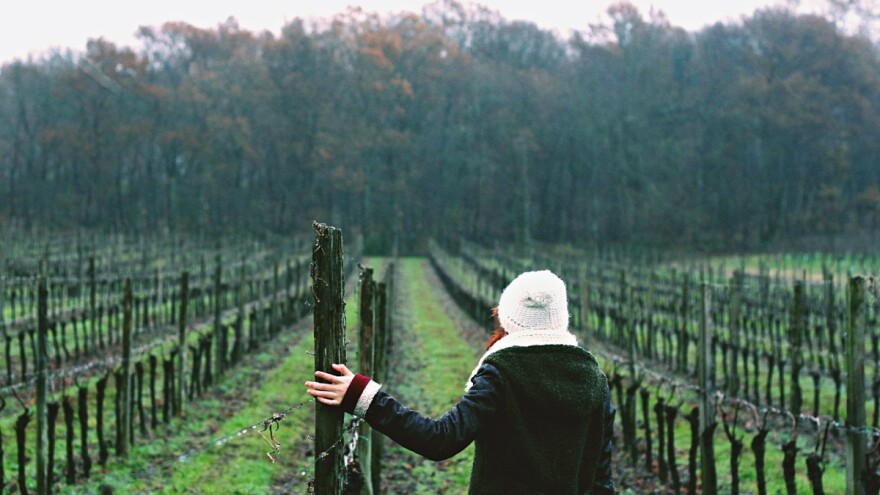 HPK: Važna obavijest za OPG-ove vezano za e-propusnice