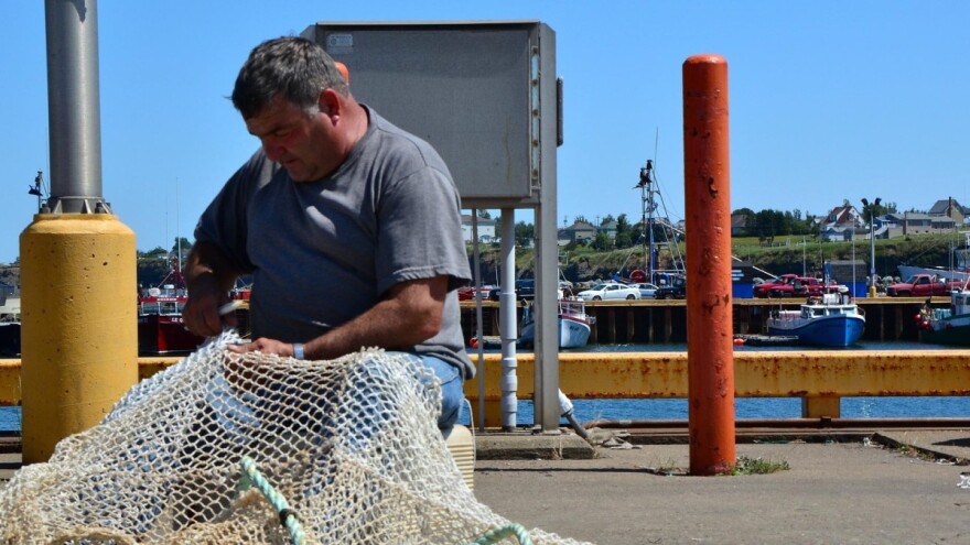 Stiže pomoć hrvatskim ribarima, prerađivačima i školjkarima