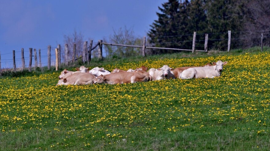 U najavi Zakon o ublažavanju posljedica po privredu zemlje