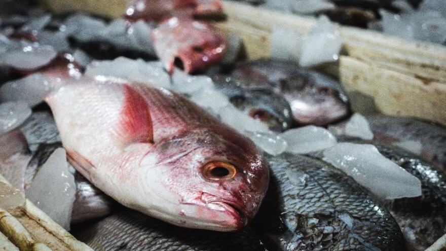 30 milijuna kuna za potpore u ribarstvu