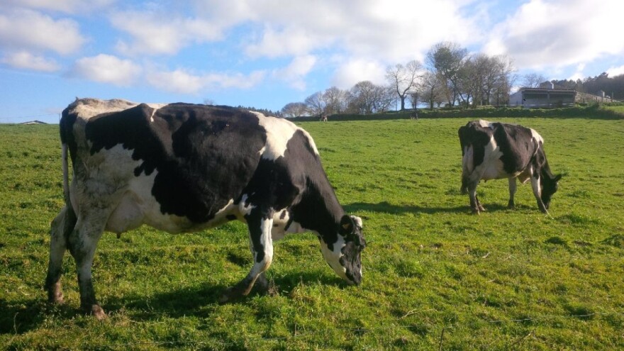 Primarnim poljoprivrednim proizvođačima 53 milijuna kuna državne potpore