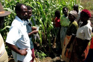 Gladuju, napadaju ih skakavci i koronavirus: Može li Afrika opstati?
