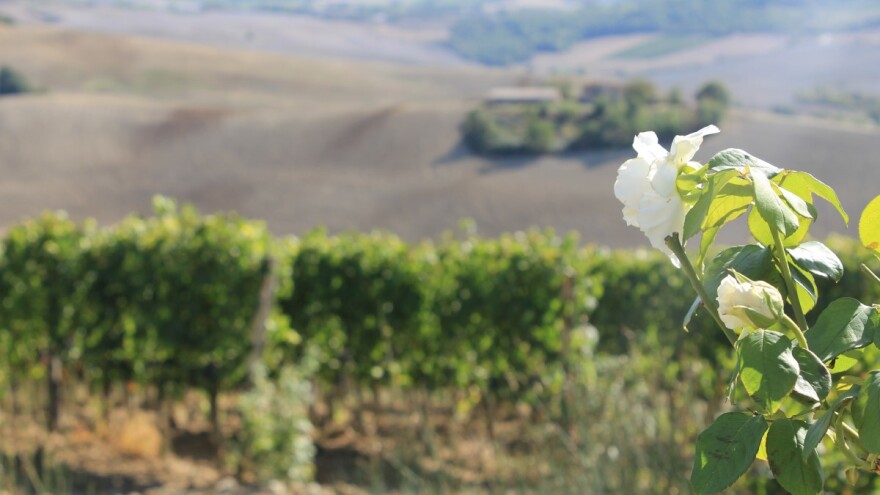 Kreditna linija za turizam od 600 milijuna kuna uz kamate od 0 i 1,5%