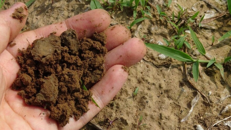 Spektroskopija - tehnologija budućnosti za očuvanje zdravlja tla