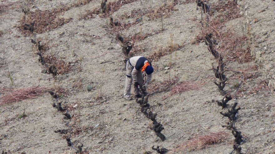 Kružna ekonomija je spas za poljoprivredu? Španjolska već počela s primjenom