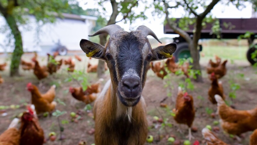 U javnom savjetovanju i Nacrt natječaja za provedbu podmjere 3.2.