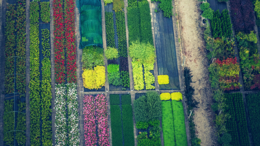 Sa 650 milijuna eura nadoknađuju štetu u cvjećarstvu, vrtlarstvu i uzgoju krumpira