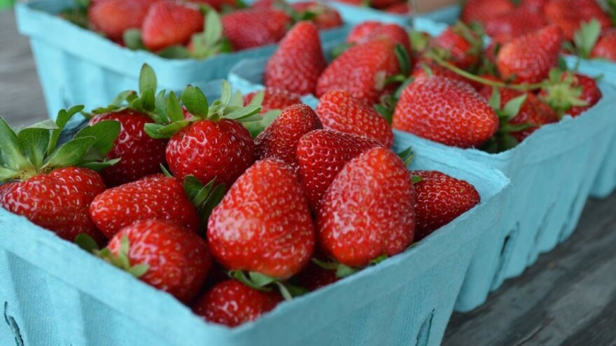 Cena domaćih jagoda previsoka?