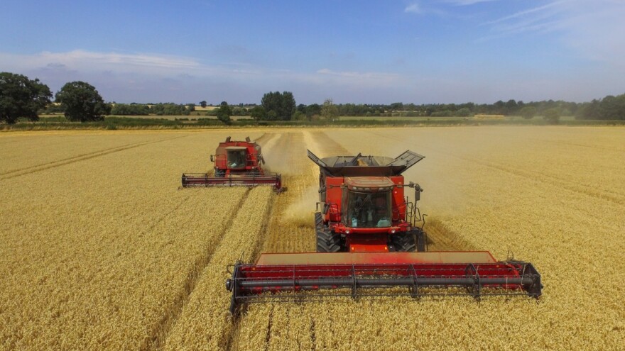 Raste svetska proizvodnja, potrošnja i snabdevanje pšenicom?