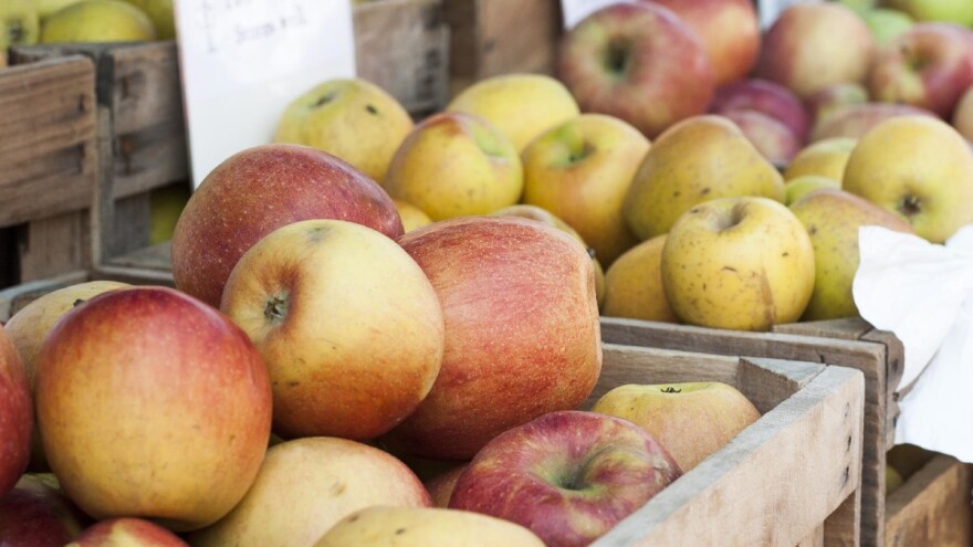 U prva tri mjeseca porasle cijene biljnih proizvoda, maslinovog ulja i voća