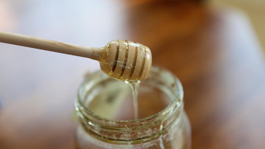 Otvoreno je savjetovanje za Školski medni dan