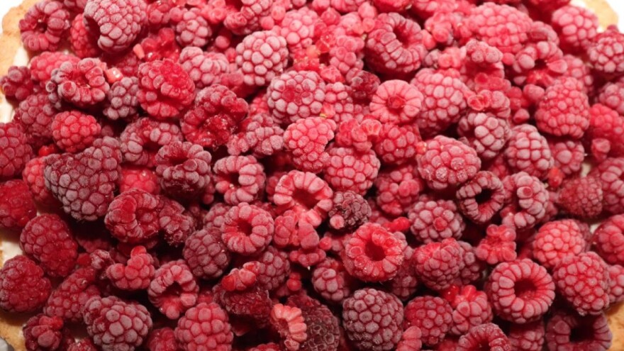 U 2019. godini izvezeno preko 13.000 tona organskih proizvoda