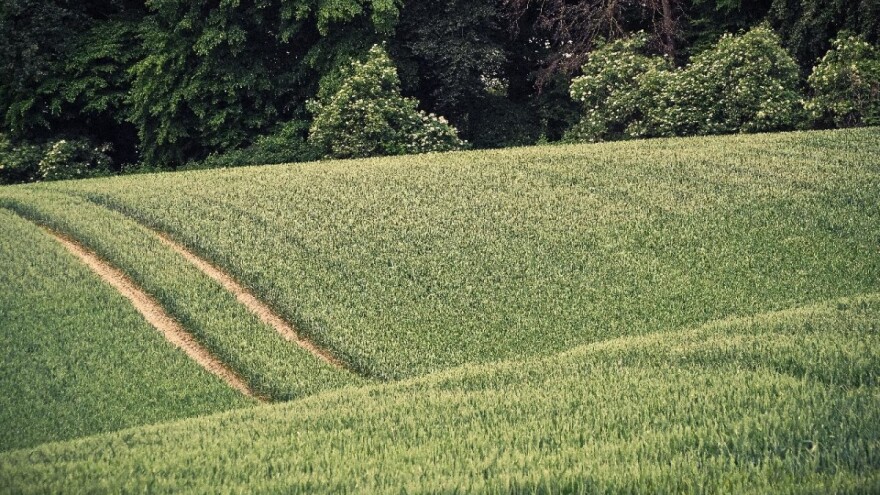 Sankcionirat će korisnike koji su dali netačne podatke