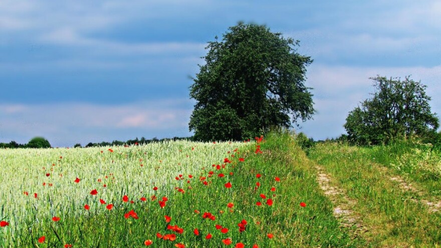 Srbija postala članica Međuvladine platforme o biodiverzitetu i uslugama ekosisistema