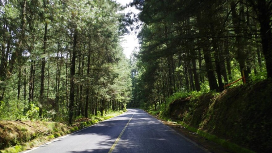 Objavljen novi natječaj za ulaganja u šumsku infrastrukturu vrijedan 60 milijuna kuna