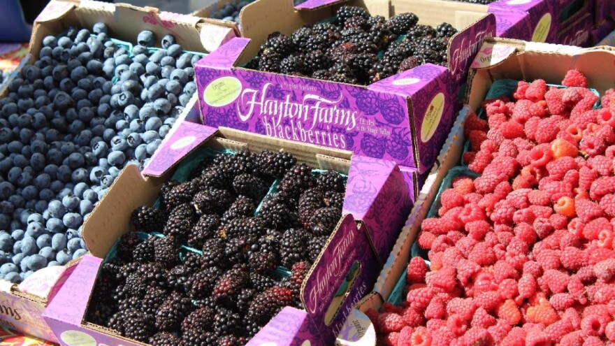 Nestabilno tržište malina, kupina i ribiza