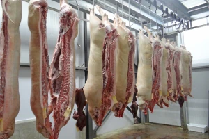 U ožujku proizvedeno 3,3% više svinjetine i 0,4% manje govedine nego lani