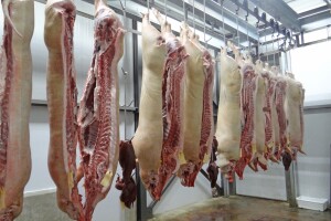 U ožujku proizvedeno 3,3% više svinjetine i 0,4% manje govedine nego lani