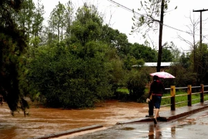 Poplave u Zapadnoj Srbiji i vodostaji u porastu