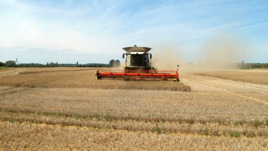Rusija očekuje veće prinose pšenice, a Rumunija u problemu zbog kiše