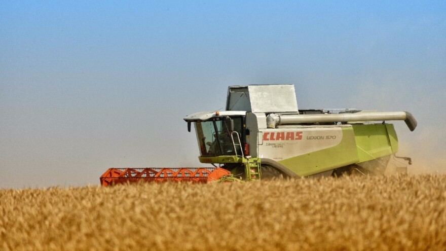 Kreće žetva pšenice, cena još uvek nepoznata?