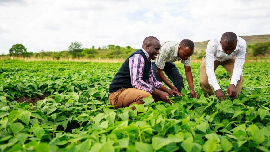 Suradnja Afričke i Europske unije: Sigurnije tržište i opskrba hranom