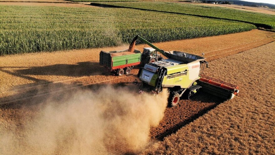 Počela žetva pšenice, a koja je cena?