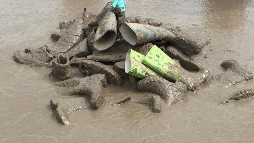 Prošle godine stvoreno 65 miliona tona otpada, najviše u poljoprivredi?