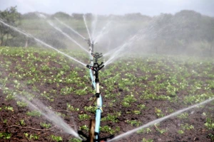 Potrošnja vode: Očuvanje kvaliteta i količine kao glavni zadatak ZPP-a