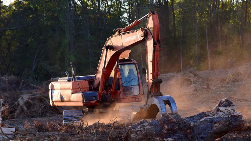 Krčenje šuma poraslo u zadnjih nekoliko godina - koja EU zemlja prednjači?