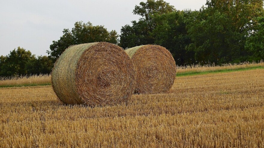 Treba li novi ministar poljoprivrede biti Slavonac i iz agronomske struke?