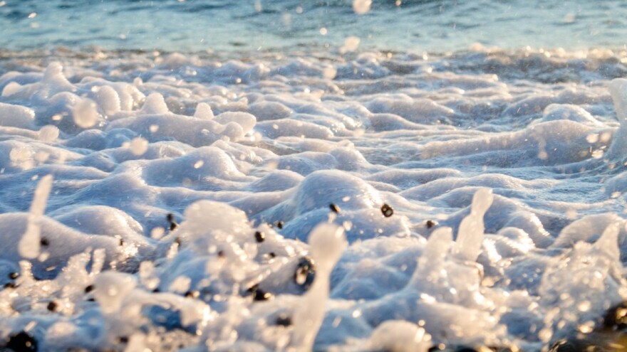 Ministarstvo osuđuje hemikalije u rijekama - pogubna je za biljni i životinjski svijet!