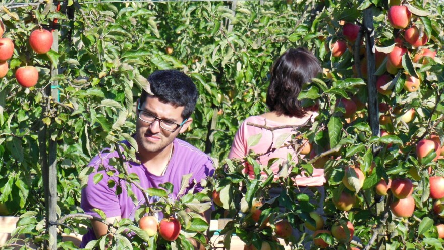 208 novih ugovora vrijednih gotovo 26 milijuna kuna poslano na adrese poljoprivrednika