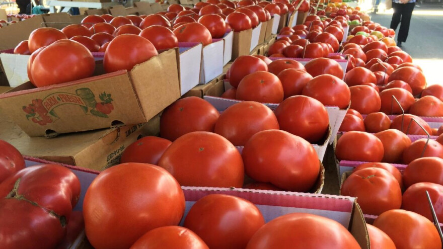 TISUP: Više cijene rajčice u odnosu na prošlu godinu, kilogram i iznad 10 kuna