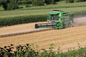 Pšenica dala i do 7 t/ha, a i ječam je donio dobar i kvalitetan prinos