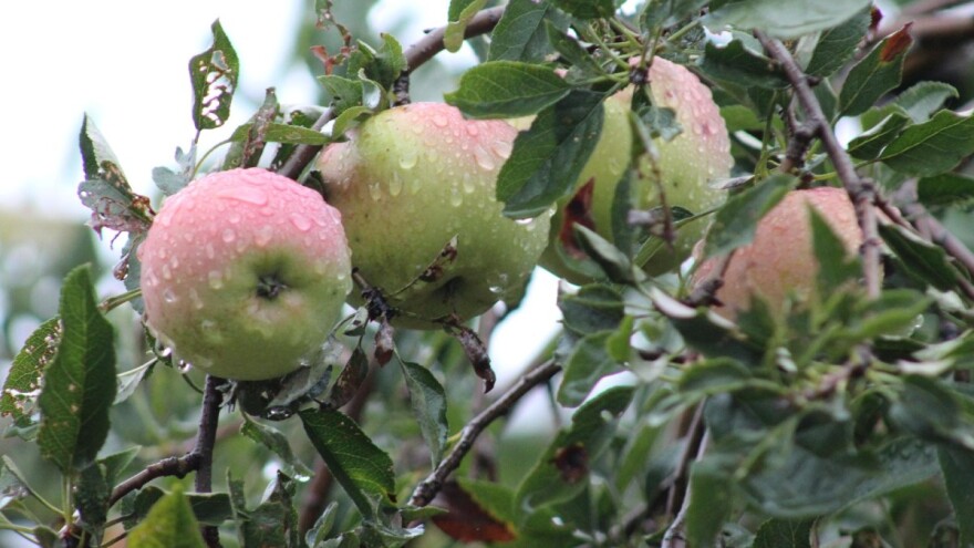 Za kraj sedmice još uvijek promjenljivo, razvedravanje tek u ponedjeljak