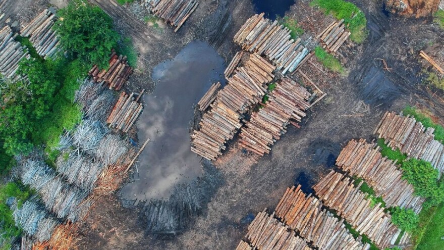 Ilegalno krče Amazonu kako bi EU imala dovoljno soje?