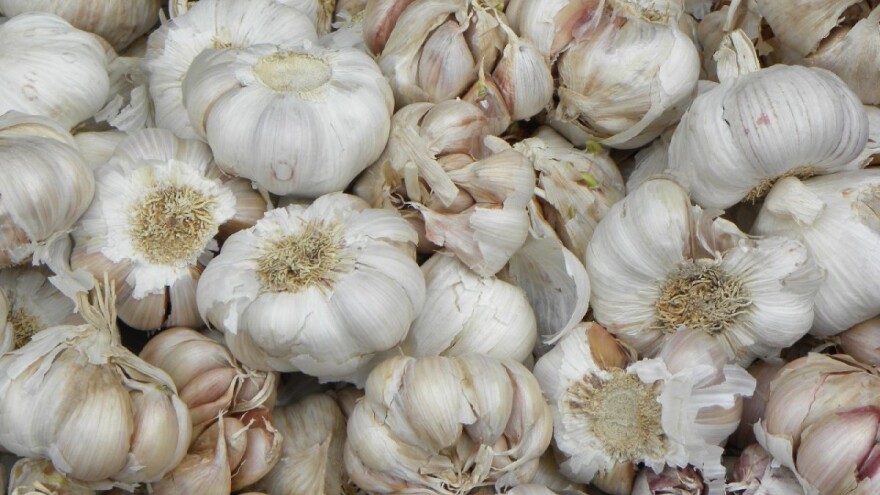 Kako na pravi način čuvati luk u domaćinstvu?