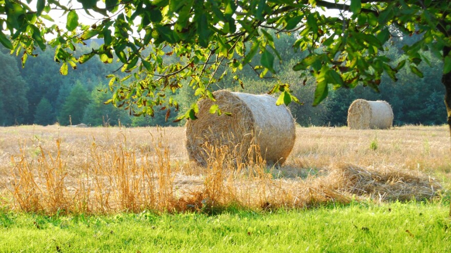 Stiže pravo ljeto, a s njim i temperature preko 40°C