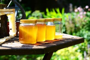 Sajma Viroexpo nema, ali objavljen je Javni poziv za prikupljanje uzoraka meda